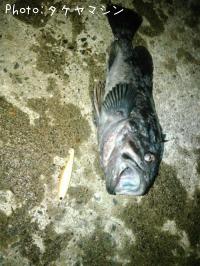 クロソイ