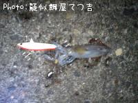 ヒイカ