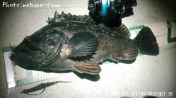 クロソイ
