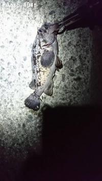 クロソイ