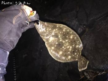 ソゲ
