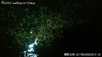 バチ（ネタ）