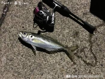 アジ
