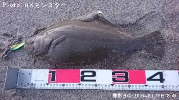 ヒラメ