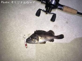 クロソイ