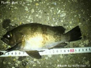 メバル
