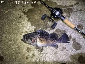 クロソイ
