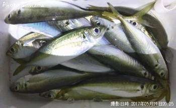 アジ