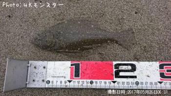 ソゲ