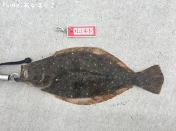 ҥ