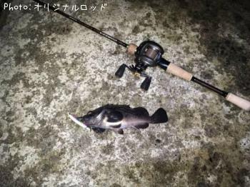 クロソイ