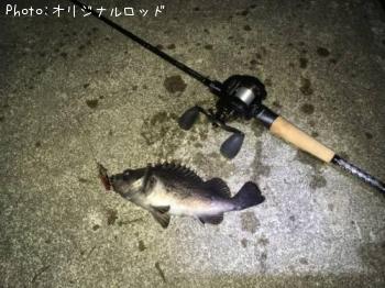 クロソイ