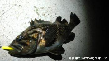 クロソイ