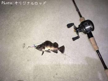 メバル