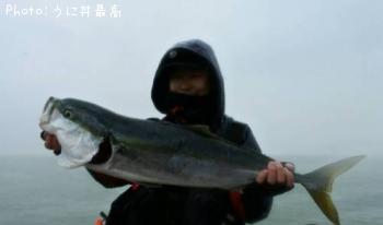 饵