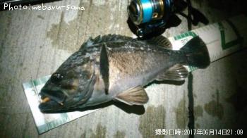 クロソイ