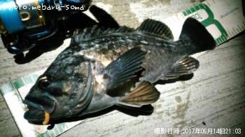 クロソイ