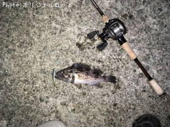 クロソイ