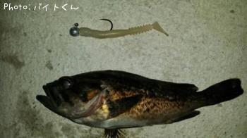 クロソイ