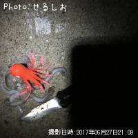 ���ޥ�����