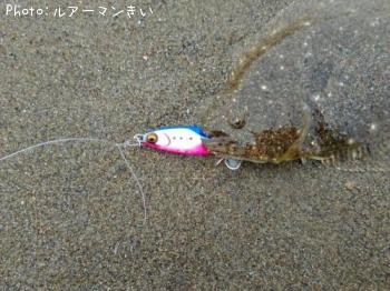 ソゲ