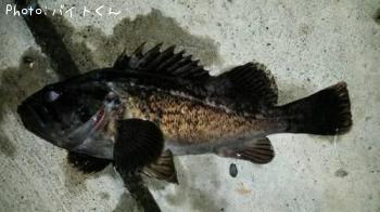 クロソイ