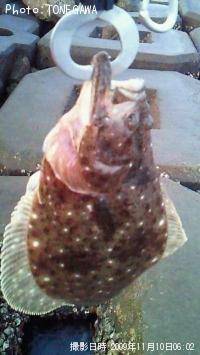 ҥ