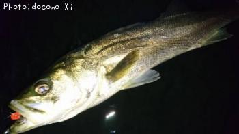 Х