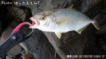 ѥλ