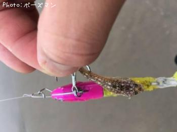 �參�������ޥ�����