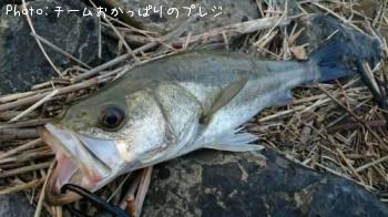 Х