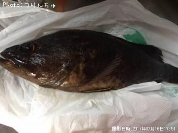 タケノコメバル