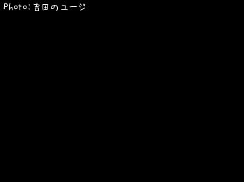 ޥ