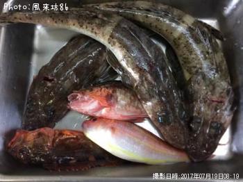 ¥ï¥Ë¥´¥Á¡õ¥«¥µ¥´