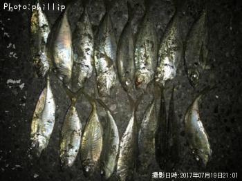 アジ