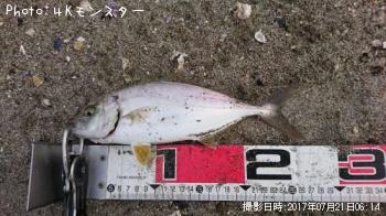 ショゴ