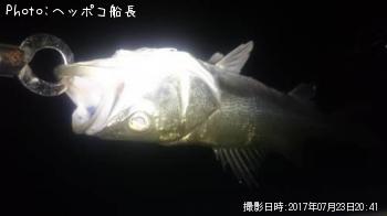 シーバス