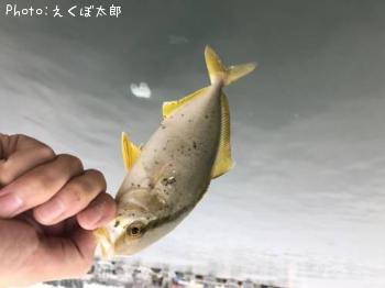 ѥ