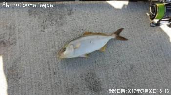 ショゴ