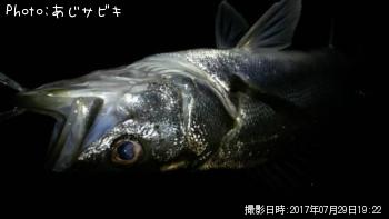 Х