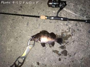 メバル