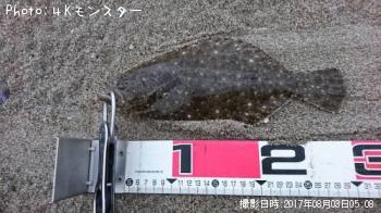 ソゲ