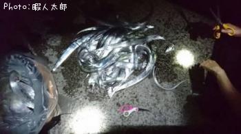 タチウオ