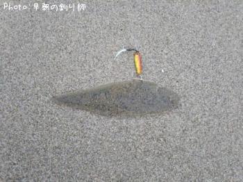 シタビラメ