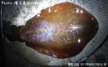 ꥤ