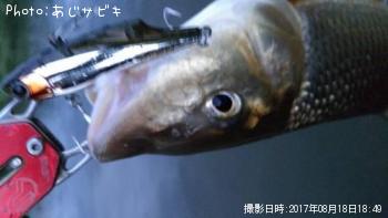 ˥