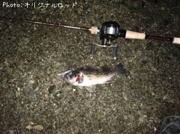 クロソイ