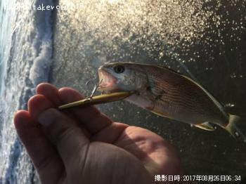 イシモチ