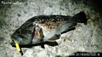 クロソイ