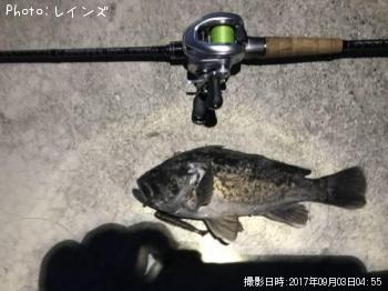 クロソイ